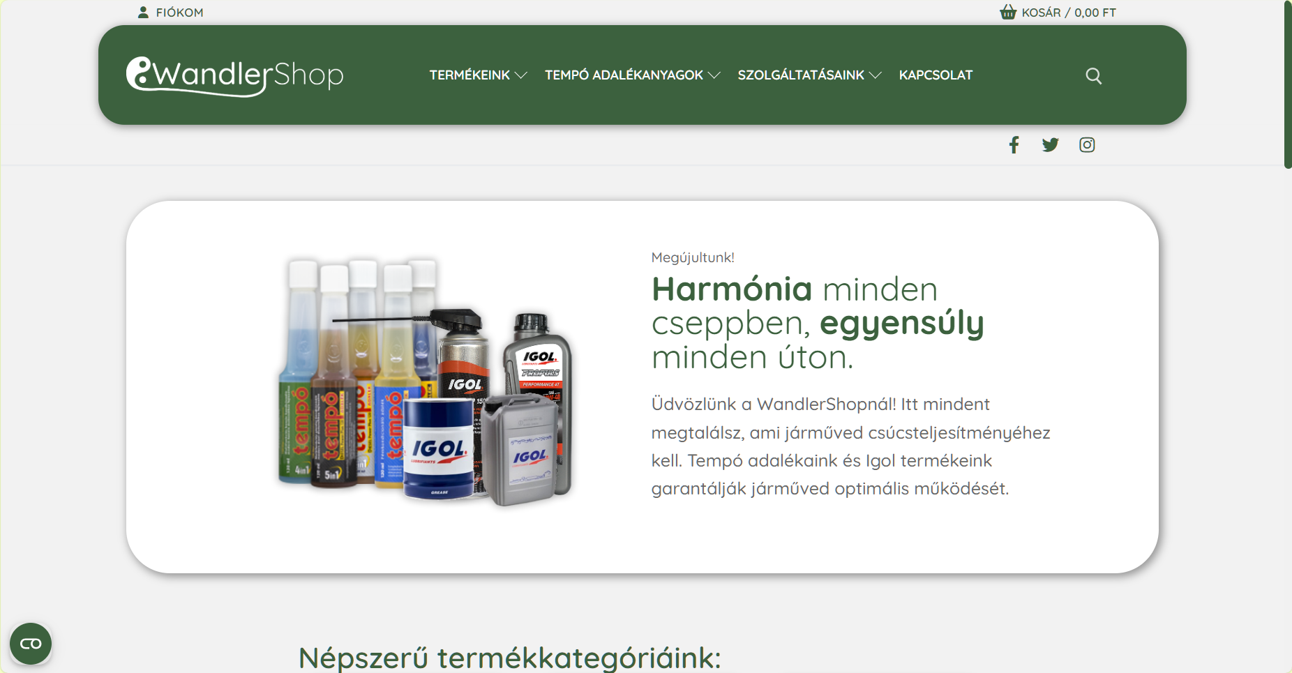 webshop készítés esettanulmány WandlerShop